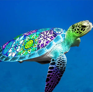 Meet your Posher, Malia